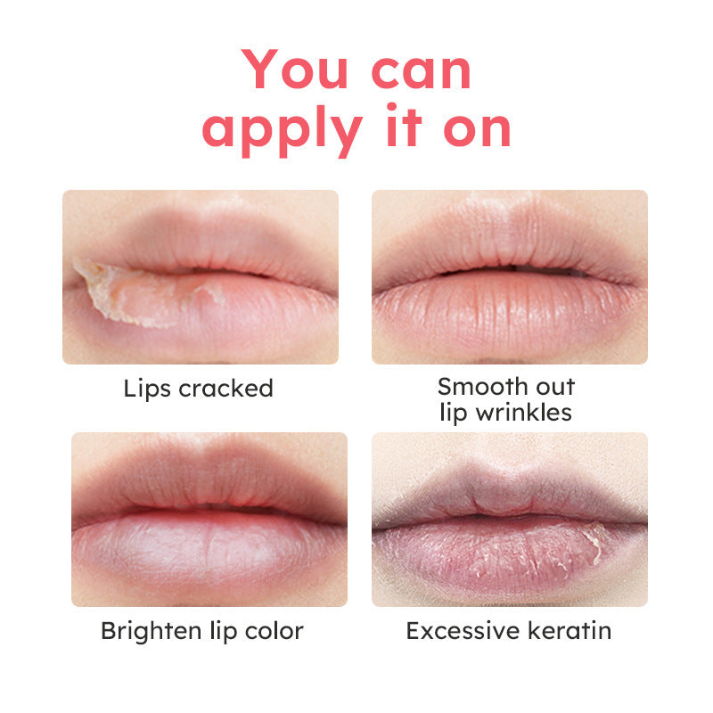 High Quality Anti-chapping Lip Care Lip Balm